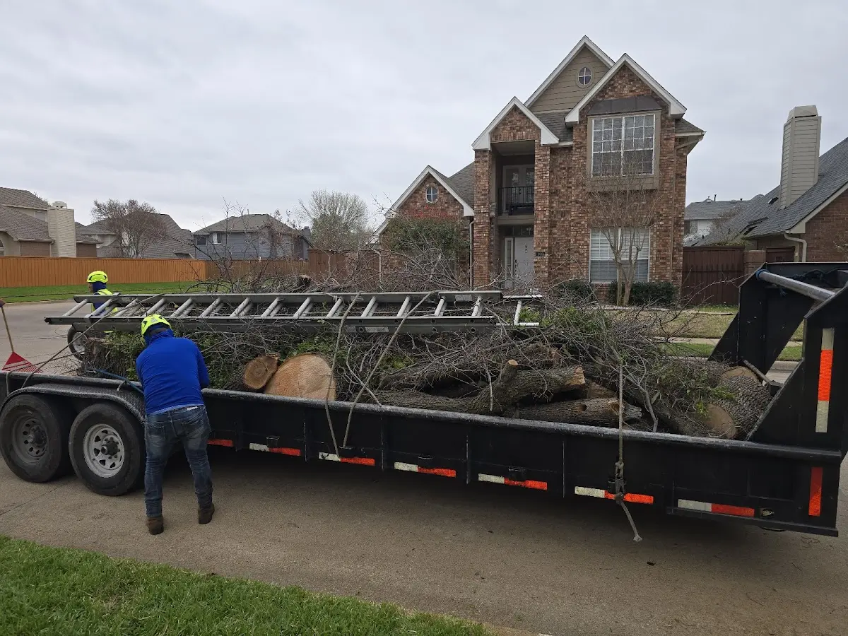 Expert Tree Fertilization with proper safety equipment in Truxton